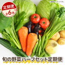 【ふるさと納税】 【 全6回定期便 】 野菜 詰め合わせ 産地 直送 6 ~ 8種 減農薬 栽培 旬 採れたて やさい お試し 一人暮らし ふたり暮らし 健康 ...