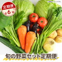 【ふるさと納税】 【 全6回定期便 】 野菜 詰め合わせ 産地 直送 10 ~ 14種 減農薬 栽培 旬 採れたて やさい 家庭用 健康 食材 静岡県 藤枝市