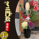 【ふるさと納税】 【先行予約】 門松 ミニ 寄植え 6号 ロング 鉢入り お正月 迎春 新春 福 豪華 竹 生竹 シンプル 葉牡丹 葉ボタン 和 洋 2025年12月中旬より順次発送 オンライン決済限定