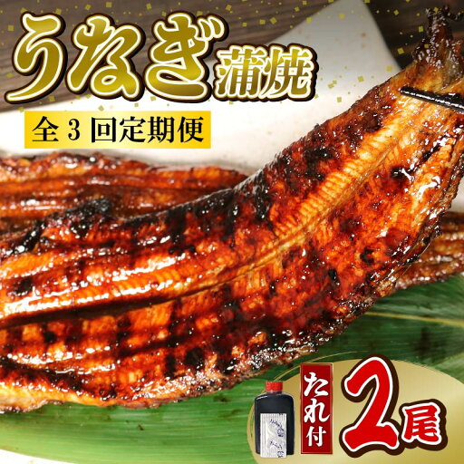 【ふるさと納税】 【全3回定期便】 うなぎ 蒲焼 大姿焼き 2尾 (140g×2) 定期便 鰻蒲焼 ウナギ かばやき 土用 丑の日 活鰻 自家製蒲焼 たれ 山椒 ギフト 贈答 冷蔵 まとめ買い 静岡県 藤枝 ふるさと人気 【ふるさと納税】 【全3回定期便】 うなぎ 蒲焼 大姿焼き 2尾 (140g×2) 定期便 鰻蒲焼 ウナギ かばやき 土用 丑の日 活鰻 自家製蒲焼 たれ 山椒 ギフト 贈答 冷蔵 まとめ買い 静岡県 藤枝 ふるさと人気