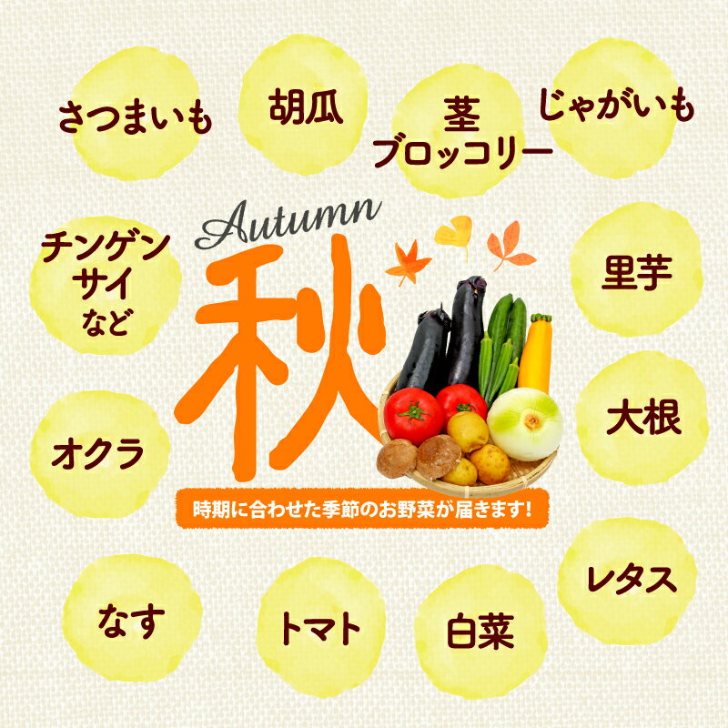 【ふるさと納税】 【全3回定期便】 野菜 詰め合わせ おまかせ 野菜詰合せ （6～8種） 詰合せ 6～8種 おまかせ 旬 まんさいかん ボックス 静岡県 藤枝市 ( 人気野菜 ふるさと納税野菜 ふるさと野菜 furusato野菜 おすすめ野菜 送料無料野菜 静岡県 藤枝市 )
