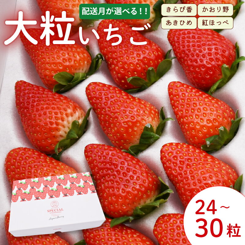 【ふるさと納税】 【先行予約：選べる配送月】 【定期便】 いちご 大粒 24～30粒 2024年12月～2025年5月 順次発送 苺 旬 産地 直送 フレッシュ イチゴ 紅ほっぺ 章姫 あきひめ きらぴ香 かおりの フルーツ 果物 国産 ジャパン ベリー 静岡県 藤枝市のサムネイル