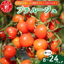 【ふるさと納税】 ミニ トマト プチルージュ 150g × 8 〜 24 パック 野菜 やさい 新鮮 旬の野菜 産地直送 高糖度 甘い プチ フルーツ ソース ...