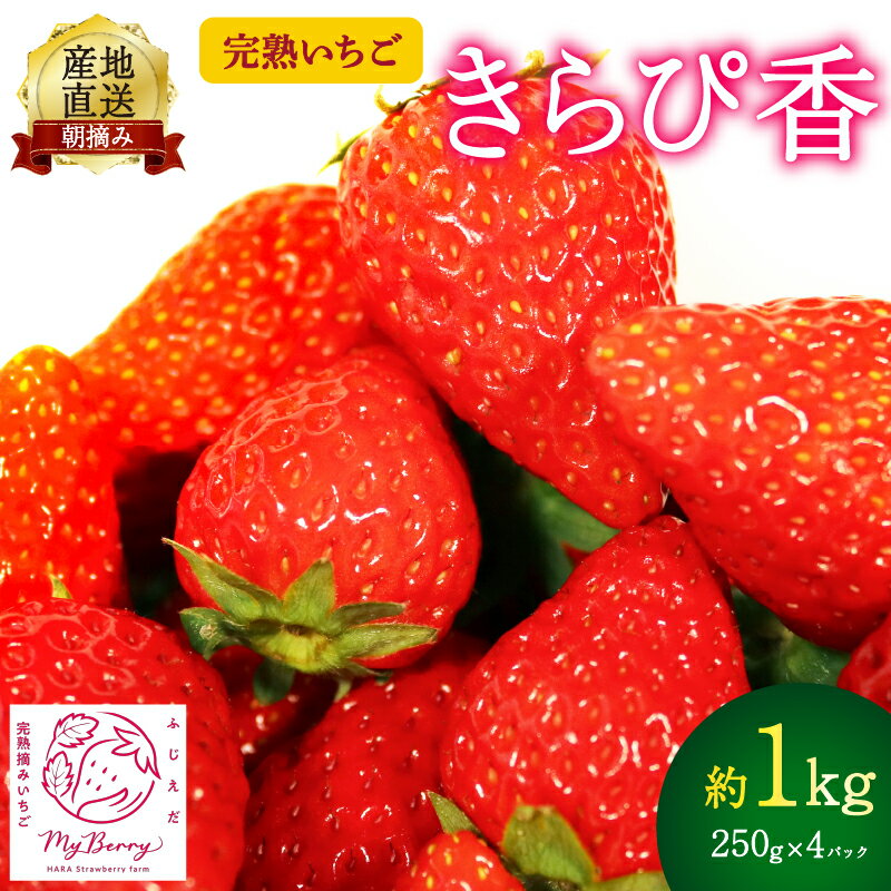 【ふるさと納税】 【先行予約】 いちご きらぴ香 約1kg 約250g×4パック 朝どれ 完熟 苺 産地 直送 フレッシュ イチゴ 贈答 フルーツ 果物 国産 静岡 発送期間: 11月〜2月のサムネイル