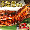 【ふるさと納税】 うなぎ 蒲焼 2尾 (140g × 2) 冷蔵 鰻 土用 丑の日 電子 レンジ 調理 直火焼き 関西風 ウナギ 和風 惣菜 おかず 晩ごはん ...