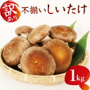 【ふるさと納税】 訳あり 不揃い 生しいたけ 1kg 生 しいたけ シイタケ 椎茸 大ぶり 食べ応え 厚い 肉厚 うまみ