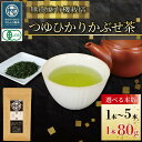 【ふるさと納税】 【選べる本数】 有機 煎茶 つゆひかり かぶせ茶 80g 1~5 本 お茶 煎茶 水出し 贈答 ギフト お取り寄せ 静岡県産 マルムラ製茶 藤...