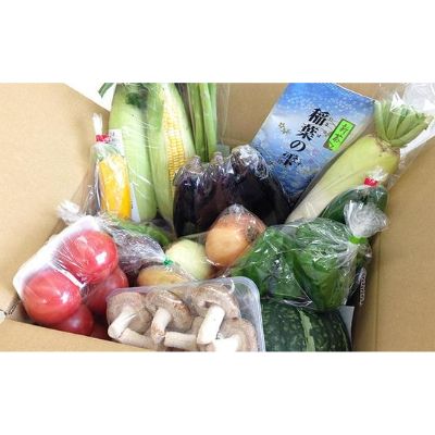 20位! 口コミ数「1件」評価「5」 野菜 詰合せ 新鮮 採れたて 詰め合わせ 健康 静岡県 国産 季節 サラダ まんさいかん 生鮮 食品 料理 食材 静岡県 藤枝市