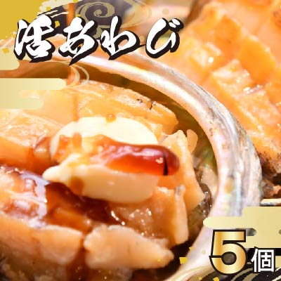 鮑(アワビ)のふるさと納税返礼品(おすすめ)│2022最新情報【HISふるさと納税比較】 鮑(アワビ)のふるさと納税返礼品(おすすめ)│2022最新情報【HISふるさと納税比較】