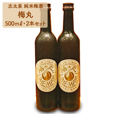 梅酒 500ml × 2本 セット 志太泉 純米 梅丸 お酒 地酒 うめ アルコール 飲料 家飲み 宅飲み 飲み会 晩酌 静岡県 藤枝市