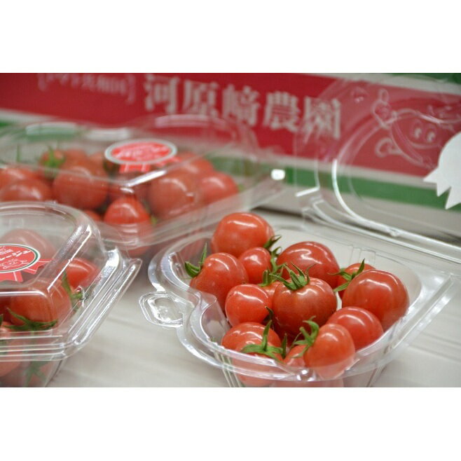 【ふるさと納税】 ミニ トマト プチルージュ 150g × 