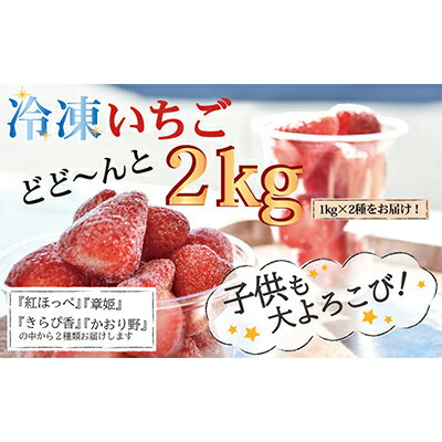 【ふるさと納税】 冷凍 いちご 1kg 2種類 セット 紅ほ