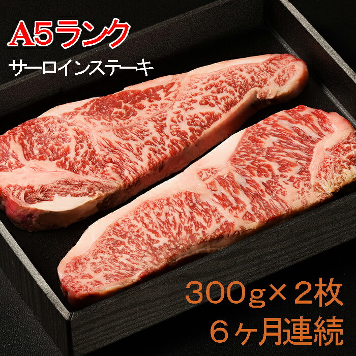 【ふるさと納税】 定期便 6回 6ヶ月 牛肉 サーロイン ス