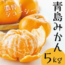 【ふるさと納税】青島みかん5kg　【果物類・みかん・柑橘類】　お届け：2023年1月10日頃〜2023年2月下旬頃