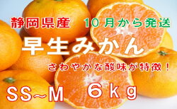 【ふるさと納税】【早期予約 2023年10月下旬出荷】静岡県産　早生みかん　約6kg　【果物類・柑橘類・みかん・フルーツ・ミカン・蜜柑】 画像1