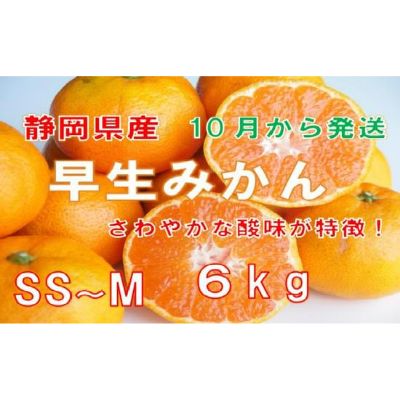 【ふるさと納税】【早期予約 2023年10月下旬出荷】静岡県産　早生みかん　約6kg　【果物類・柑橘類・みかん・フルーツ・ミカン・蜜柑】