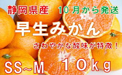 【ふるさと納税】【早期予約 2023年10月下旬出荷】静岡県産　早生みかん　約10kg　【果物類・柑橘類・みかん・フルーツ・ミカン・くだもの】 画像1