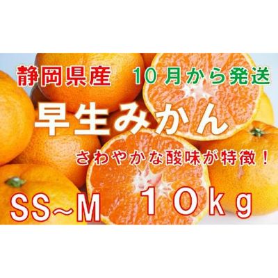 【ふるさと納税】【早期予約 2023年10月下旬出荷】静岡県産　早生みかん　約10kg　【果物類・柑橘類・みかん・フルーツ・ミカン・くだもの】