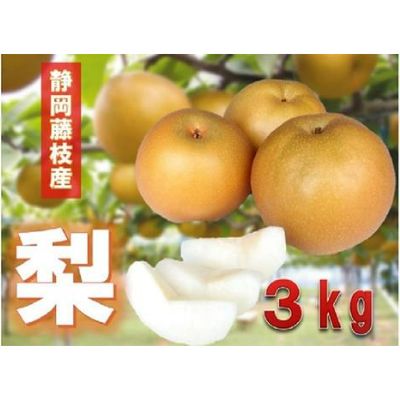 【ふるさと納税】 【先行予約：2024年8月出荷】梨 3kg