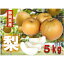 【ふるさと納税】 【先行予約：2024年8月出荷】 梨 5kg 志太梨 ( 果物 フルーツ 産地 直送 家庭用 なし 藤枝産梨 甘い梨 貴重種梨 限定梨 旬の梨 ) 静岡県 藤枝市