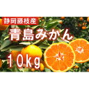 【ふるさと納税】【早期予約 2022年12月中旬より順次出荷】静岡県産　青島みかん　S〜2L約10kg　【果物類・柑橘類・みかん・フルーツ】　お届け：2022年12月中旬〜2023年1月下旬まで順次発送･･･