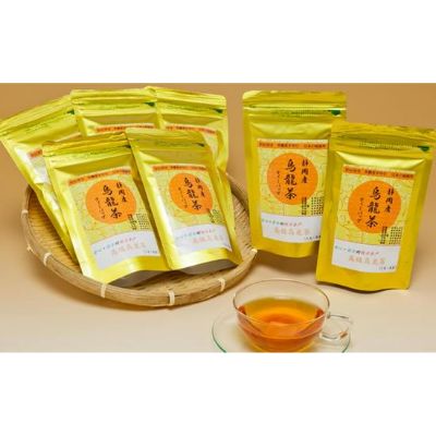 烏龍茶 ティー バッグ 10P × 10袋 お茶 飲み物 飲料 ウーロン茶 パック 10包 ホット アイス 静岡県 藤枝市