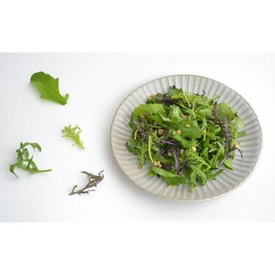 【ふるさと納税】 ハーブ 野菜 詰め合わせ 約 450g 4種 8袋 ルッコラ リーフトマト 赤からし水菜 リーフマスタード からし水菜 セルバチコ 新鮮 サラ...