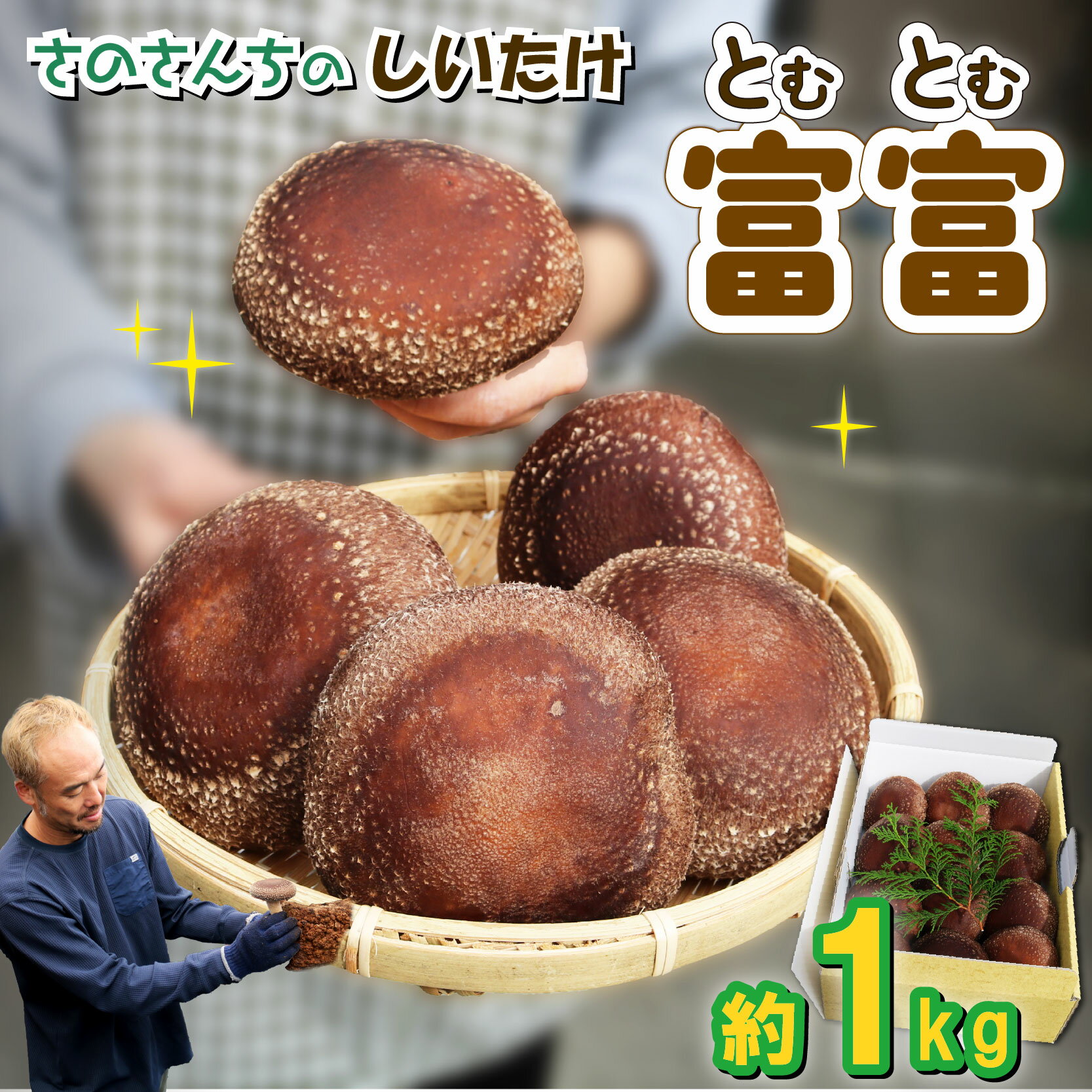 【ふるさと納税】 生 しいたけ 富富(とむとむ)約1kg さのさんち 椎茸 シイタケ 肉厚 ジューシー きのこ 静岡県 藤枝市 人気 野菜 旬 JGAP認証農場