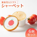 【ふるさと納税】 アイス トマト シャーベット 6個 セット お菓子 おやつ ミネラル 氷菓 デザート スイーツ 温泉 美人 お取り寄せ グルメ ギフト 贈り物 静岡県 藤枝市