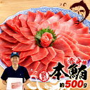 【ふるさと納税】 訳あり 本まぐろ 赤身 約500g まぐろ 解凍 本 マグロ 中トロ 鮪 漬け 丼 海鮮 刺し身 ユッケ 選べる 配送月 発送月 ふるさと納税...