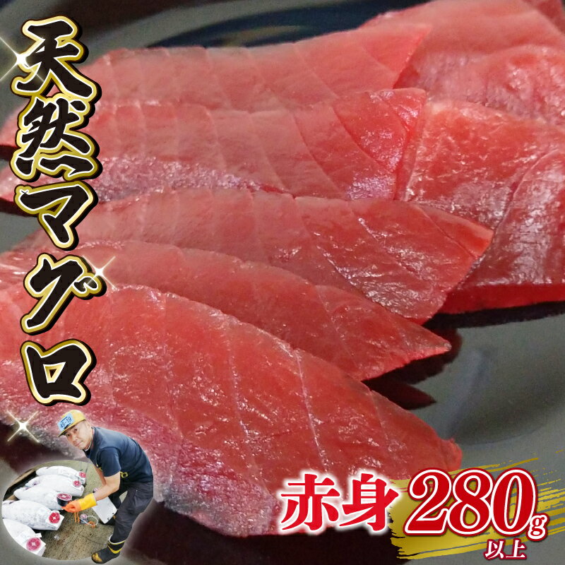 【ふるさと納税】 天然 マグロ 赤身 約 280g 以上 鮪 刺身 漬け丼 魚 魚介 海鮮 ごちそう グルメ 豊洲 市場 まぐろ 新鮮 高級 ブロック 寿司ネタ...