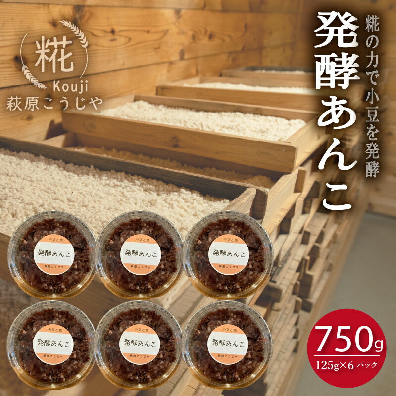 発酵 あんこ 1 パック 125g入り × 6パック ~明治23年創業こうじやのあんこ~ 和菓子 糀 小豆 あずき 和スイーツ 餡 お菓子 砂糖不使用 腸活 健康 美肌 美容 安心 ストック 小分け 安全 国産 静岡 藤枝