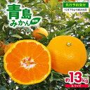 【ふるさと納税】 【先行予約】 みかん 13kg 青島 特大 ミカン 果物 国産 フルーツ 柑橘 静岡県産 蜜柑 ビタミン 美味しい 発送期間: 12月下旬〜1...
