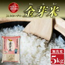 【ふるさと納税】 お米 金芽米 5kg お茶 80g セット きぬむすめ 無洗米 静岡県産 5キロ ごはん ご飯 精米 白米 食品 おこめ 糖質オフ お茶の葉 煎茶 静岡県 藤枝市