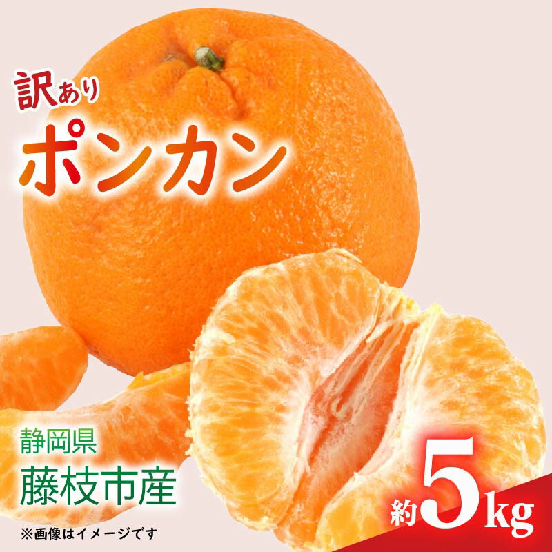 [先行予約:2026年1月下旬より発送] 訳あり みかん 5kg M〜2L ポンカン ミカン 果物 国産 フルーツ 柑橘 数量限定 静岡県産 蜜柑 大小 ミックス 不揃い ビタミン 美味しい 静岡県 藤枝市 ふるさと人気