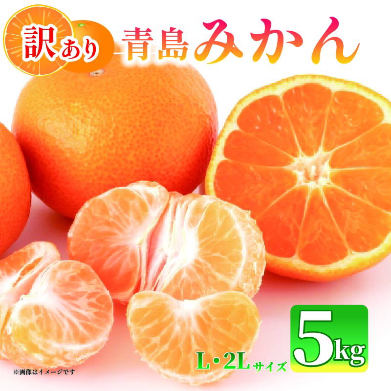[先行予約:2026年1月上旬より発送] 訳あり みかん 5kg L〜2L 青島 ミカン 果物 国産 フルーツ 柑橘 数量限定 静岡県産 マルチ栽培 蜜柑 大小 ミックス 不揃い ビタミン 美味しい 静岡県 藤枝市 ふるさと人気