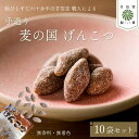 【ふるさと納税】 飴 げんこつ飴 10袋 あめ アメ おかし お菓子 おやつ 和菓子 伝統菓子 昔ながら 駄菓子 甘味 懐かしい味 手作り 自然素材 甘信堂製菓 贈答用 お土産 ギフト プレゼント 子供 大人 家族 お茶請け 茶菓子 藤枝市 静岡県