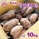 【ふるさと納税】 【2025年11月~順次発送予定】 さつまいも 紅はるか 約2kg~約10kg 期間限定 サツマイモ 焼き芋 イモ 芋 いも 野菜 健康 やさい 人気 おすすめ 静岡県 藤枝市