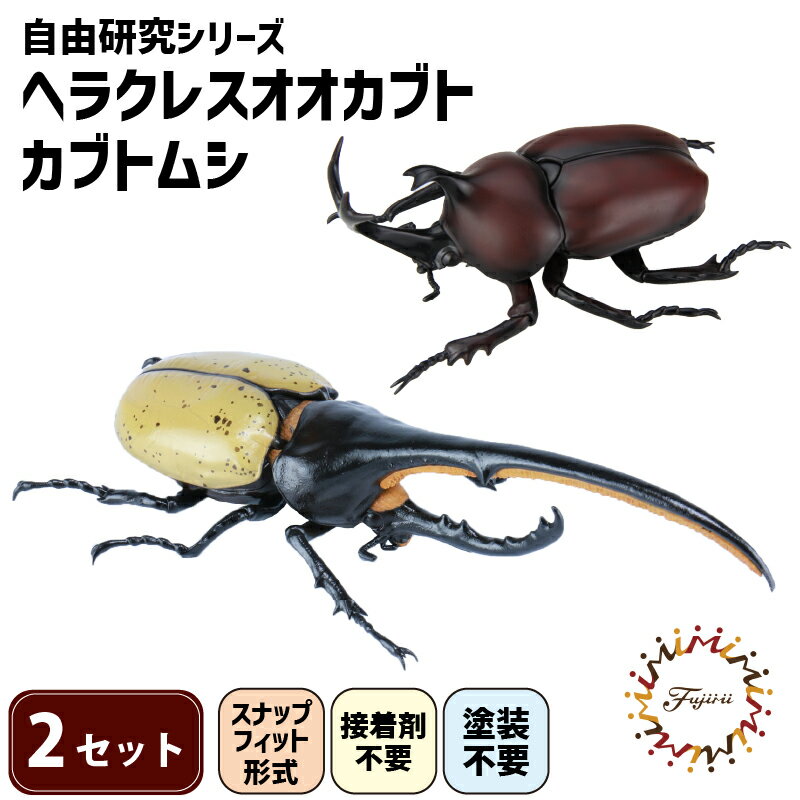 模型 昆虫 自由研究シリーズセット ヘラクレスオオカブト カブトムシ 2セット 玩具 ホビー 夏休み 虫 ヘラクレス 送料無料 フジミ 静岡県 藤枝市