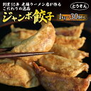 【ふるさと納税】 【創業50年 老舗ラーメン店が作る】手作り ジャンボ 冷凍餃子 30個入り 餃子 冷凍 冷凍食品 ぎょうざ ギョウザ ギョーザ おつまみ 静岡県 藤枝市
