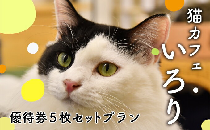 【ふるさと納税】 猫カフェいろり ご利用優待券（1時間分）×5枚セット ( ねこ ネコ 動物 ペット 癒し 保護猫 触れ合い 猫カフェ 体験型 利用券 カフェ利用券 動物カフェ ) 静岡県 藤枝市