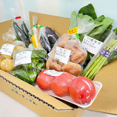 まんさいかん旬のおまかせ野菜詰合せボックスミニ 静岡県 藤枝市