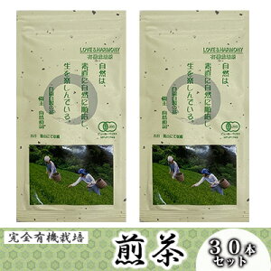 【ふるさと納税】 煎茶 茶葉 30本セット 計2.4kg 完全有機栽培 有機JAS 一番茶 高級 有機 オーガニック 深蒸し茶 緑茶 お茶 日本茶 飲料 小分け 健康 飲み物 贈り物 ギフト 静岡県 藤枝市