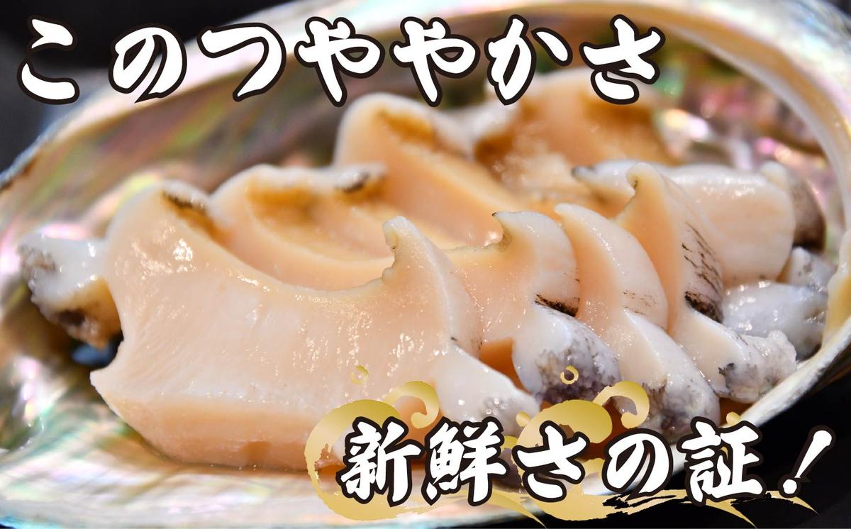 【ふるさと納税】 活 あわび 5個 セット 海鮮 鮑 貝 海の幸 高級 グルメ 料理 食材 食品 高級 贅沢 静岡県 藤枝市