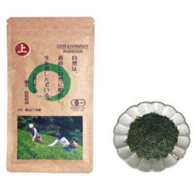 【ふるさと納税】 煎茶 茶葉 10本セット 計800g 完全有機栽培 有機JAS 一番茶 高級 有機 オーガニック 緑茶 お茶 日本茶 飲料 小分け 健康 飲み物 贈り物 ギフト 静岡県 藤枝市