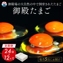 【ふるさと納税】【定期便12ヵ月】《毎月5日にお届け》御殿たまご 赤たまご 24個入(破損保障含む)もみがら入 | 卵 タマゴ 玉子 たまごかけご飯 生卵 鶏卵...