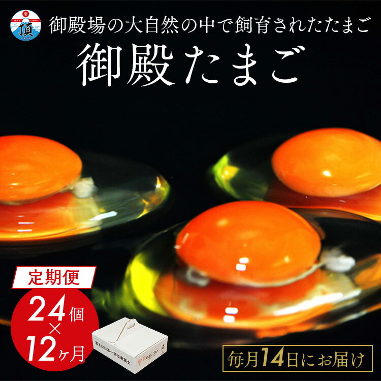 【ふるさと納税】【定期便12ヵ月】《毎月14日にお届け》御殿たまご 赤たまご 24個入(破損保障含む)(6個入モウルドパック×4P入) | 卵 タマゴ 玉子 たまごかけご飯 生卵 鶏卵 卵焼き 国産 御殿場産 ※北海道・沖縄・離島への配送不可
