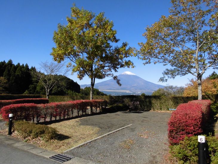 【ふるさと納税】乙女森林公園第2キャンプ場宿泊券（テントサイト：5名）