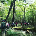 【ふるさと納税】山小屋で昼食&プロガイド付き富士山五合目トレッキング(3〜5名)【体験 自然 トレッキング ハイキング】