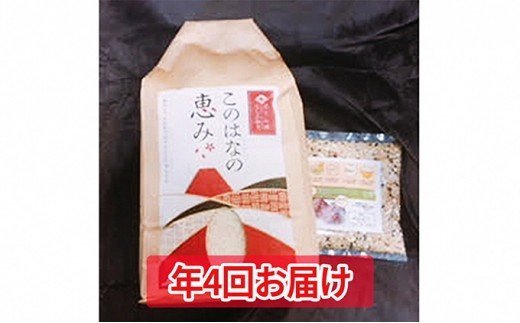 年4回定期便!特別栽培米5kgとおためし八穀米◇